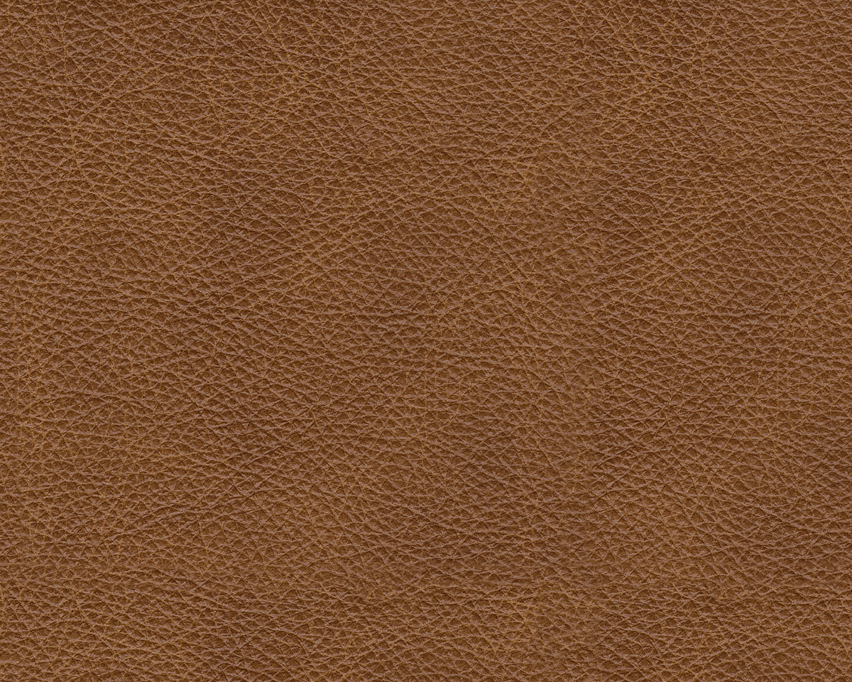 Canyon L-Shape Sectional (4PC)